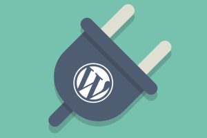 WordPress Plugin in the digital space